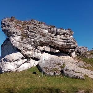 Brama Laseckich w Bobolicach - brama laseckich w bobolicach 5