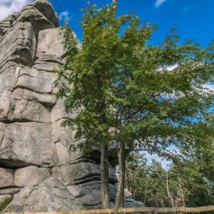 Kukułcze Skały w Karkonoszach - kukulcze skaly w karkonoszach 6