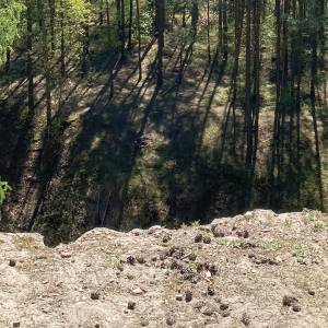 Góra Ciosowa (365 m n.p.m.) - gora ciosowa 365 m n p m 2