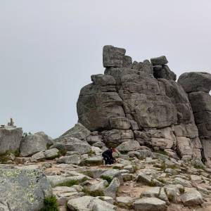 Słonecznik - slonecznik 2024 25