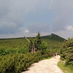 Twarożnik (1320 m n.p.m.) - twaroznik 1320 m n p m 1