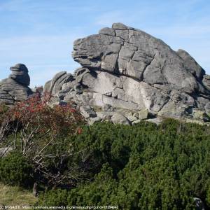 Skała Końskie Łby - konskie lby 4