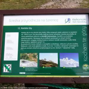 Skała Końskie Łby - konskie lby 8