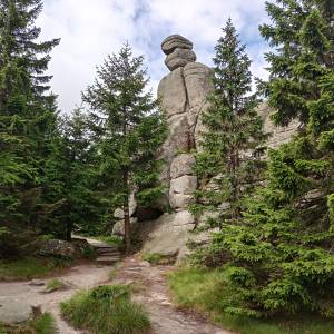 Pielgrzymy - pielgrzymy 2024 15