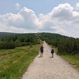 Skała Trzy Świnki - skala trzy swinki 13