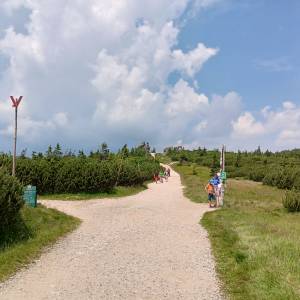 Skała Trzy Świnki - skala trzy swinki 14