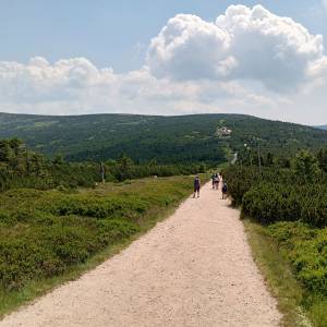 Skała Trzy Świnki - skala trzy swinki 5