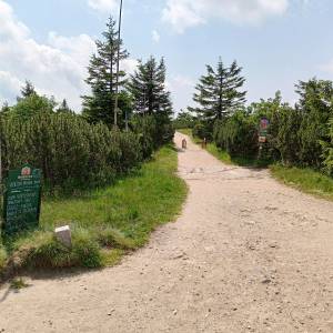 Skała Trzy Świnki - skala trzy swinki 7