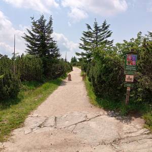 Skała Trzy Świnki - skala trzy swinki 8