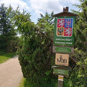 Skała Trzy Świnki - skala trzy swinki 9