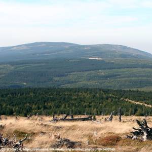 Stóg Izerski (1107 m n.p.m.) - gory izerskie smrek i stog izerski