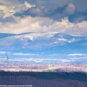 Stóg Izerski (1107 m n.p.m.) - smrk tafelfichte isergebirge