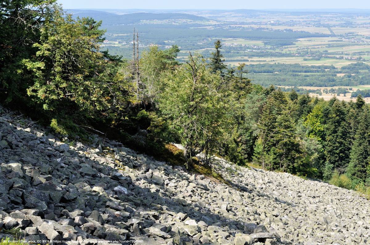 Gołoborza na Łysej Górze - goloborza na lysej gorze 3