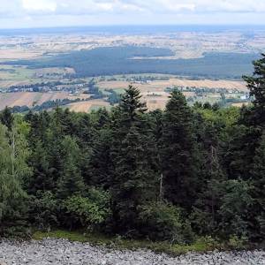 Gołoborza na Łysej Górze - goloborza na lysej gorze 5