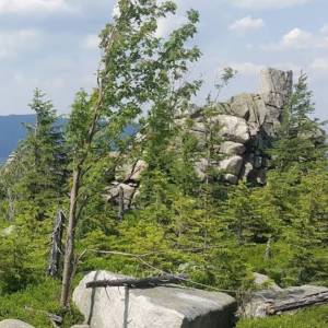 Borówczane Skały w Karkonoszach - borowczane skaly w karkonoszach 4