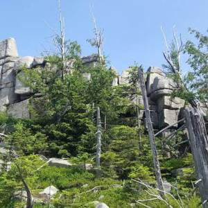 Borówczane Skały w Karkonoszach - borowczane skaly w karkonoszach 6