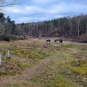 Wzgórze Wisielców w Wolinie - wzgorze wisielcow w wolinie 1