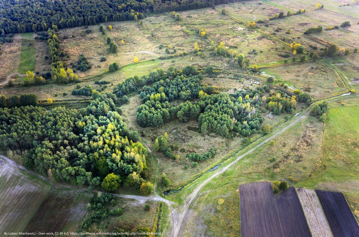Grodzisko w Chodliku z "lotu ptaka"