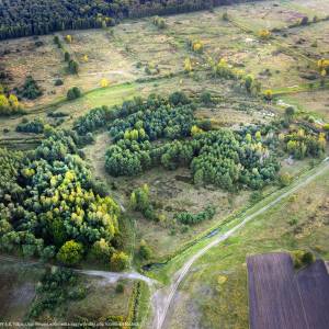 Grodzisko w Chodliku - grodzisko w chodliku 1