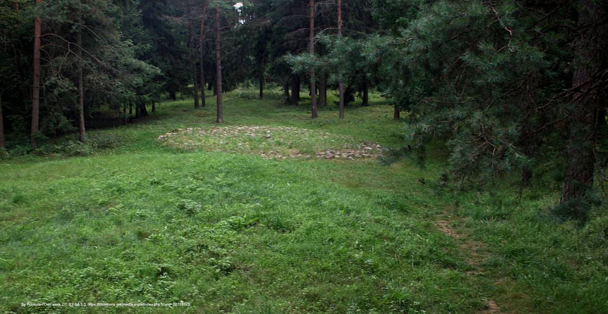 Rezerwat przyrody Cmentarzysko Jaćwingów - cmentarzysko jacwingow fragment3 03 08 2012 p