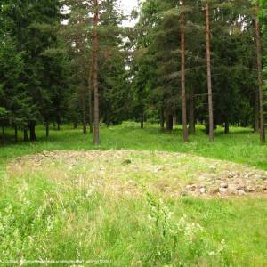 Rezerwat przyrody Cmentarzysko Jaćwingów - cmentarzysko jacwingow panoramio 1