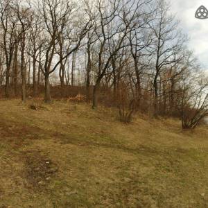 Grodzisko w Dobromierzu - grodzisko w dobromierzu 2