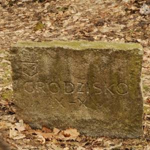 Grodzisko w Dobromierzu - grodzisko w dobromierzu 3