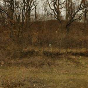 Grodzisko w Dobromierzu - grodzisko w dobromierzu 4