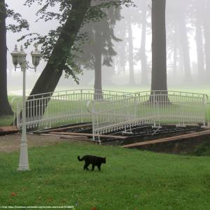 Pałac w Brunowie - palac w brunowie 2