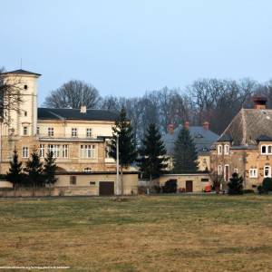 Pałac w Brunowie - palac w brunowie 3