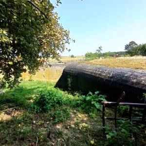 Poz. pol. "Czat na Brynicy" - 2. Schron polowy - poz pol czat na brynicy 2 schron polowy 17