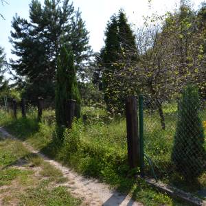 P.O. "Kamień" - 2. Schron bojowy nr 49 - dsc 3508