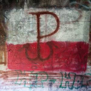 Pozycja "Węgierska Górka" - Fort "Wyrwidąb" - fort wyrwidab 1