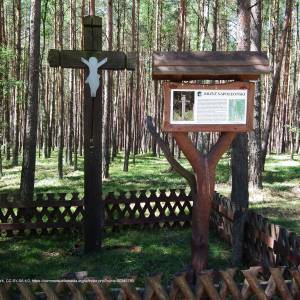 Krzyż napoleoński w Bachorzu - napoleon bonaparte cross in bachorze 2