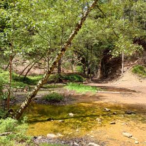 Kolorowe Jeziorka w Rudawach Janowickich - img 20240708 115730759 hdr