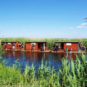 Biebrzański Park Narodowy - splywy tratwami bierzanskimi