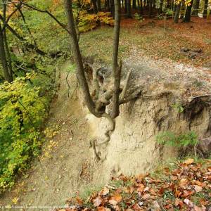 Jezioro Szmaragdowe - na skraju panoramio