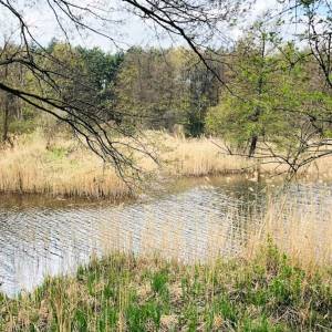 Kanał Ołobok - kanal olobok 1