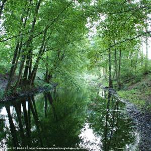 Kanał Ołobok - kanal olobok 8