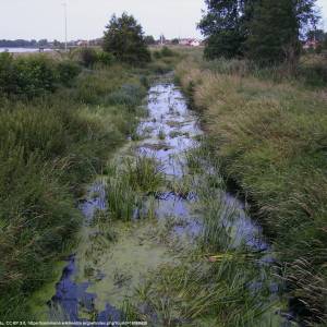 Kanał Ołobok - kanal olobok 9
