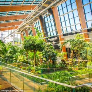 Egzotarium w Sosnowcu - egzotarium w sosnowcu 3