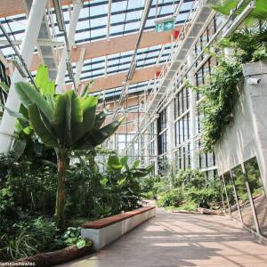 Egzotarium w Sosnowcu - egzotarium w sosnowcu 5