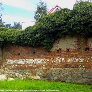 Mury obronne w Gryficach - mury obronne w gryficach 2