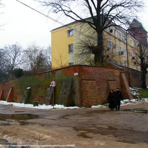 Mury miejskie w Kamieniu Pomorskim - mury miejskie w kamieniu pomorskim 7