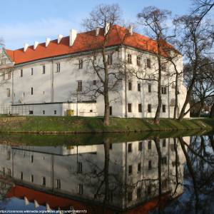 Zamek w Szydłowcu - zamek w szydlowcu 6