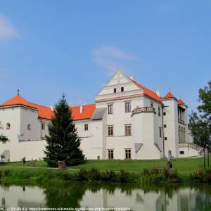 Zamek w Szydłowcu - zamek w szydlowcu 8