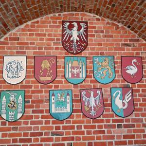 Zamek w Międzyrzeczu - zamek w miedzyrzeczu 40