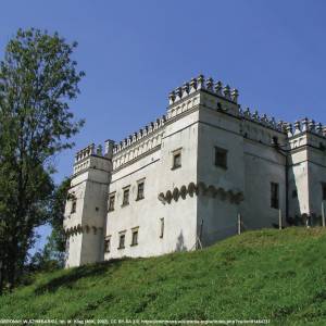 Kasztel w Szymbarku - kasztel w szymbarku 1
