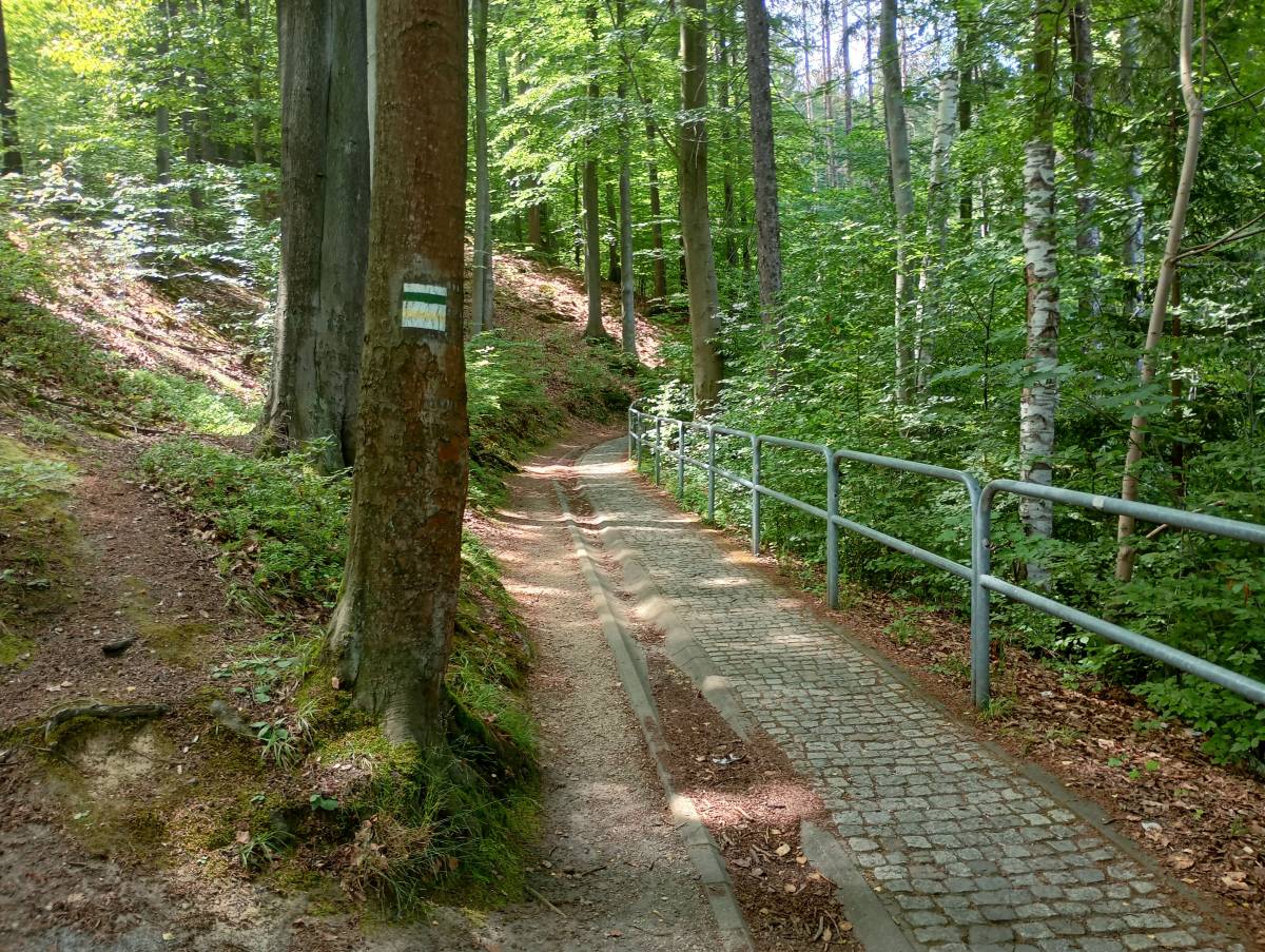 Borowy Jar w Dolinie Bobru - borowy jar w dolinie bobru 4