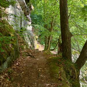 Borowy Jar w Dolinie Bobru - borowy jar w dolinie bobru 10